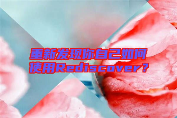 重新發現你自己如何使用Rediscover?