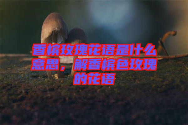 香檳玫瑰花語是什么意思,解香檳色玫瑰的花語