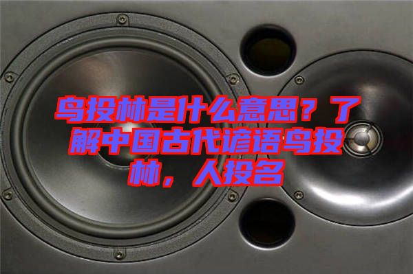 鳥投林是什么意思?了解中國古代諺語鳥投林,人投名