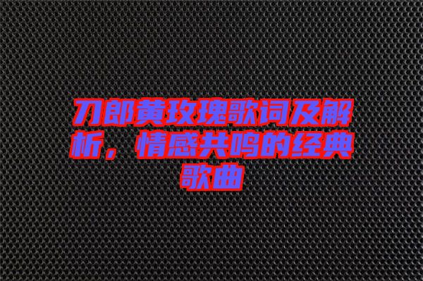 刀郎黃玫瑰歌詞及解析,情感共鳴的經(jīng)典歌曲