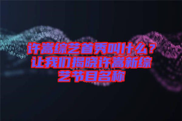 許嵩綜藝首秀叫什么?讓我們揭曉許嵩新綜藝節目名稱