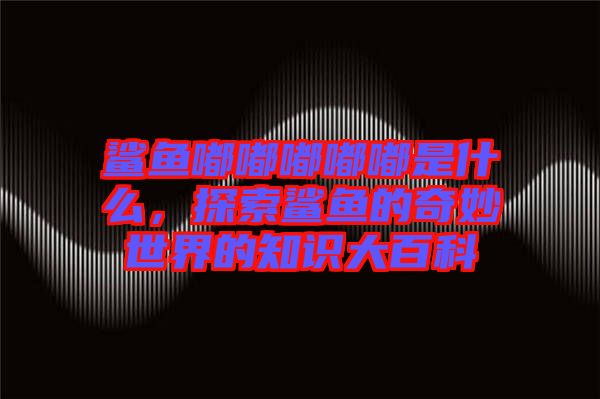 鯊魚嘟嘟嘟嘟嘟是什么,探索鯊魚的奇妙世界的知識大百科