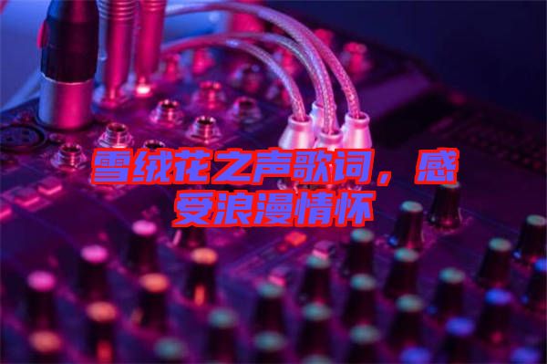 雪絨花之聲歌詞,感受浪漫情懷