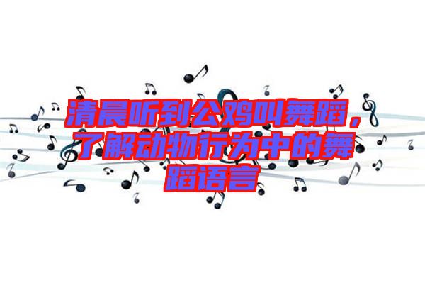 清晨聽到公雞叫舞蹈,了解動物行為中的舞蹈語言