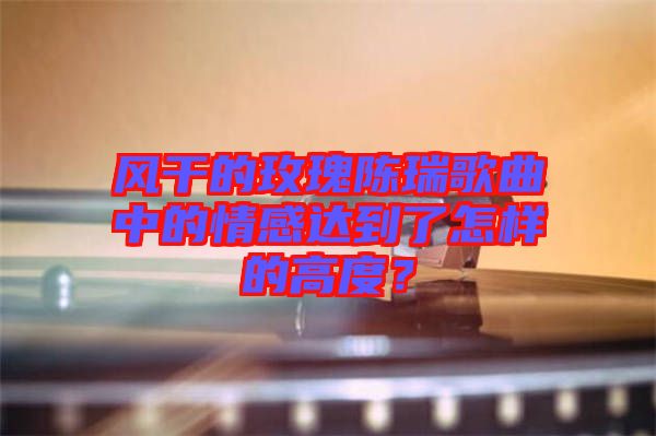 風干的玫瑰陳瑞歌曲中的情感達到了怎樣的高度?