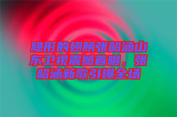 隱形的翅膀張韶涵山東衛(wèi)視震撼首唱,張韶涵新歌引爆全場