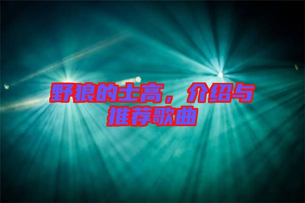 野狼的士高,介紹與推薦歌曲