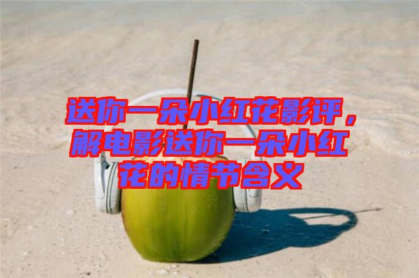 送你一朵小紅花影評(píng),解電影送你一朵小紅花的情節(jié)含義