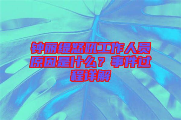鐘麗緹怒吼工作人員原因是什么?事件過程詳解