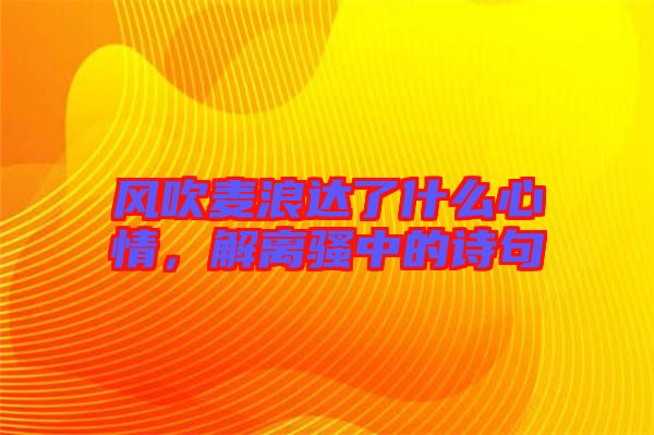 風(fēng)吹麥浪達(dá)了什么心情,解離騷中的詩句