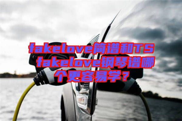 fakelove簡(jiǎn)譜和TS fakelove鋼琴譜哪個(gè)更容易學(xué)?