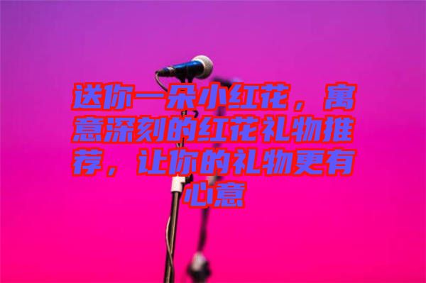 送你一朵小紅花,寓意深刻的紅花禮物推薦,讓你的禮物更有心意