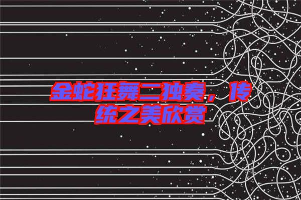 金蛇狂舞二獨奏,傳統之美欣賞