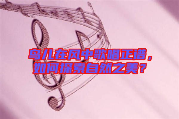 鳥兒在風(fēng)中歌唱正譜,如何探索自然之美?