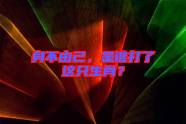 身不由己,是誰打了這只生肖?