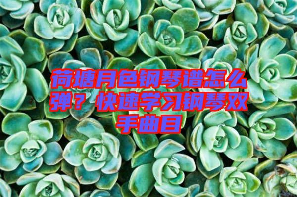 荷塘月色鋼琴譜怎么彈?快速學習鋼琴雙手曲目