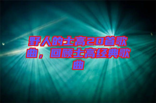 野人的士高20首歌曲,回顧士高經(jīng)典歌曲