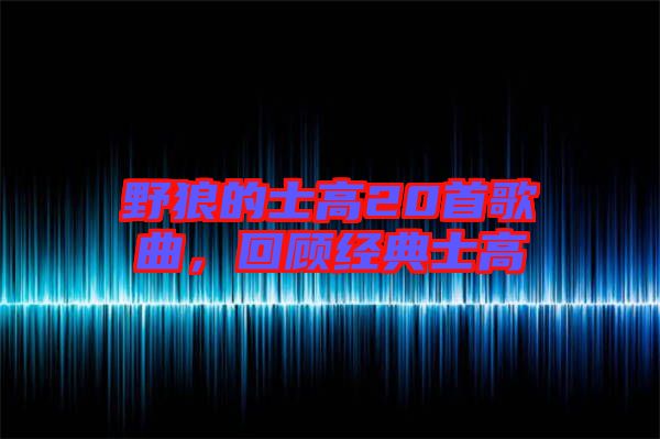 野狼的士高20首歌曲,回顧經典士高