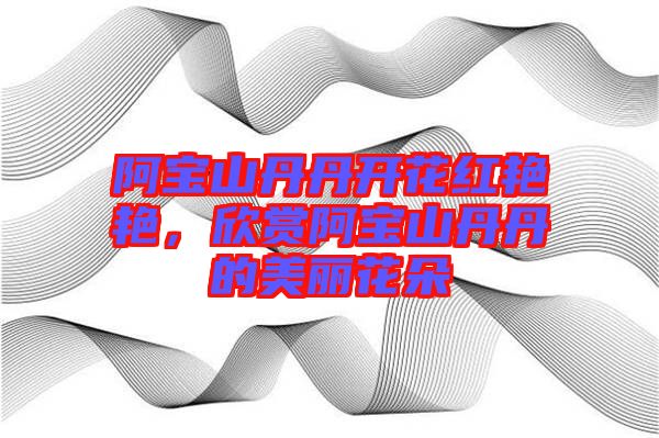 阿寶山丹丹開花紅艷艷,欣賞阿寶山丹丹的美麗花朵