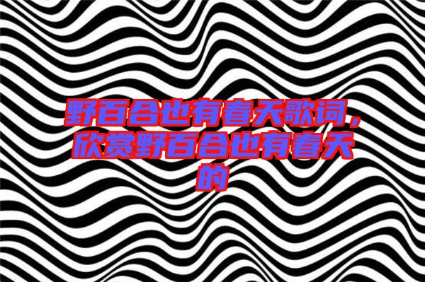 野百合也有春天歌詞，欣賞野百合也有春天的