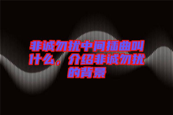 非誠(chéng)勿擾中間插曲叫什么,介紹非誠(chéng)勿擾的背景