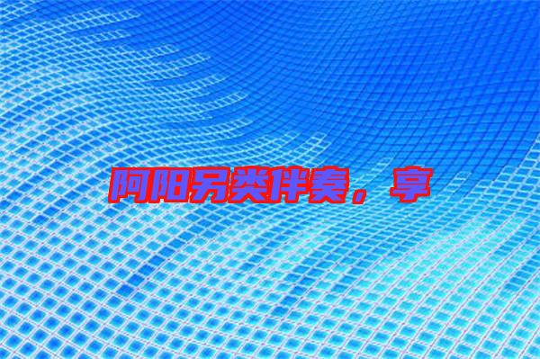 阿陽另類伴奏，享