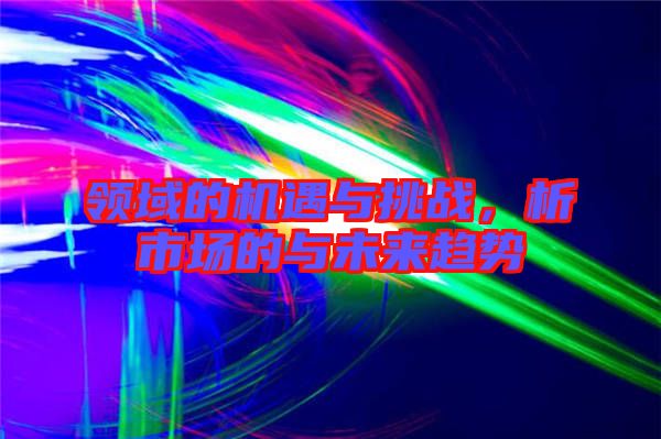 領(lǐng)域的機(jī)遇與挑戰(zhàn),析市場(chǎng)的與未來趨勢(shì)