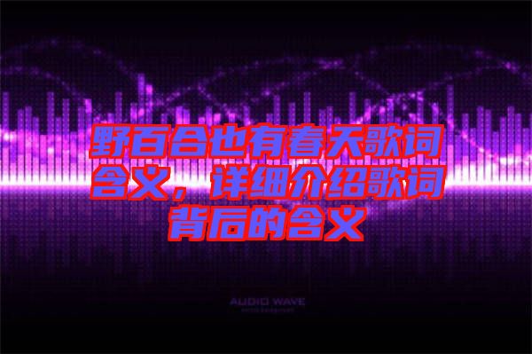 野百合也有春天歌詞含義,詳細(xì)介紹歌詞背后的含義