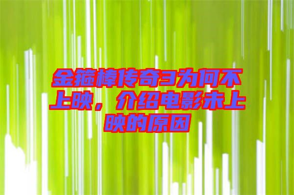 金箍棒傳奇3為何不上映,介紹電影未上映的原因